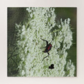 Insect op Elderflower Jigzaag Puzzle Legpuzzel (Horizontaal)