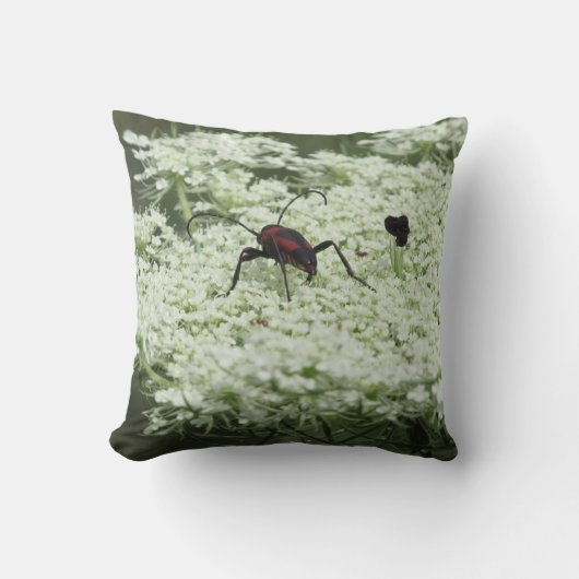 Insect op Elderflower Kussen (Voorkant)