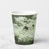 Insect op Elderflower Papieren Bekers (Voorkant)