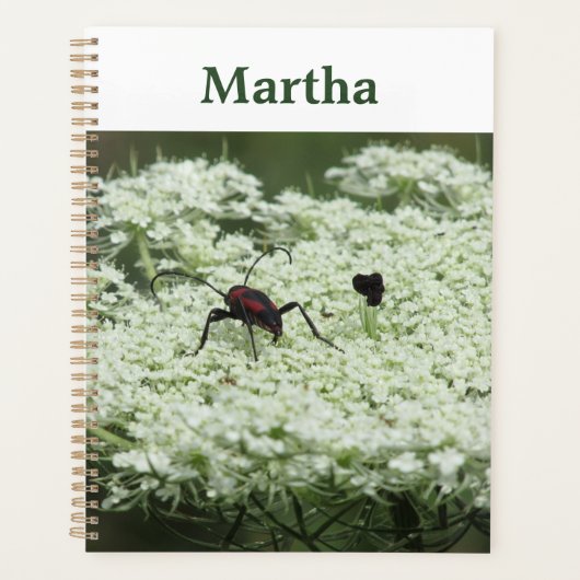 Insect op Elderflower Planner (Voorkant)