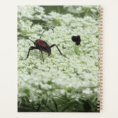 Insect op Elderflower Planner (Achterkant)