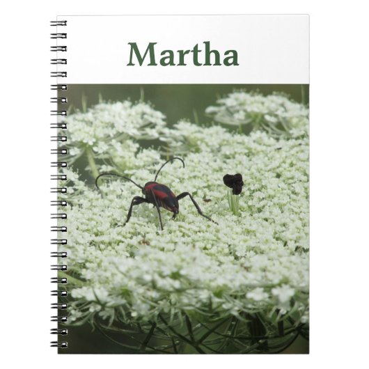 Insect op Notitieboek van de wervelkolom van Elder (Voorkant)