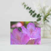 Insect op roze zaleasbloem briefkaart (Staand voorkant)