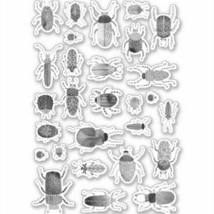 Insect Sticker