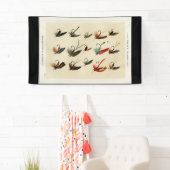-Insect Trout Flies Wings Spandoek (Insitu)