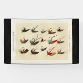 -Insect Trout Flies Wings Spandoek (Horizontaal)