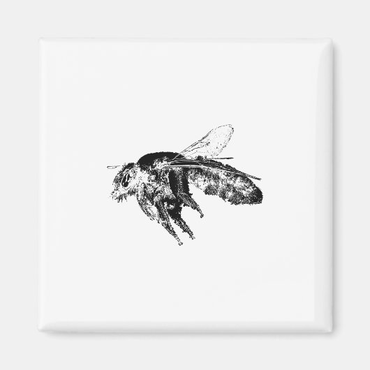 Insecte bijen zwart magneet (Voorkant)