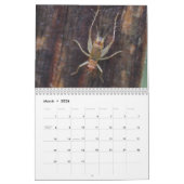 Insecte Inspirations Calendar Kalender (Mar 2026)