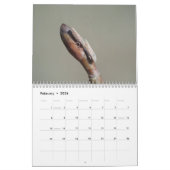 Insecte Inspirations Calendar Kalender (Feb 2026)