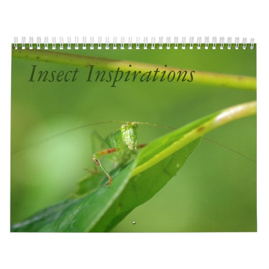 Insecte Inspirations Calendar Kalender (Hoes)