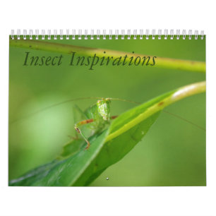 Insecte Inspirations Calendar Kalender