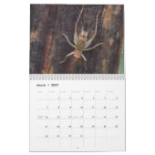 Insecte Inspirations Calendar Kalender (Mar 2027)