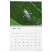 Insecte Inspirations Calendar Kalender (Jan 2027)