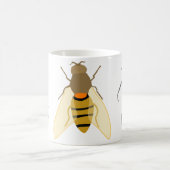 Insecte Mok (Center)