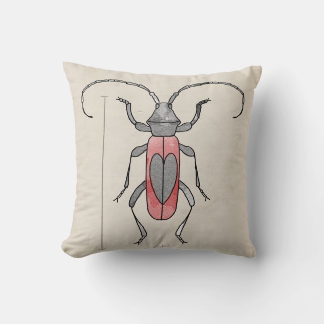 Insecte reeks - Red Beetle+ Beetle 2 voor 1 Kussen (Voorkant)