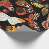 Insecteert naadloos patroon cadeaupapier (Hoek)