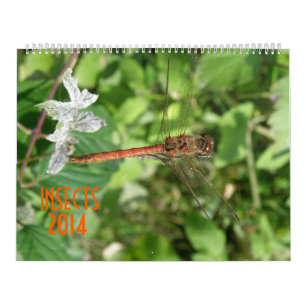 Insecten 2014 Kalender