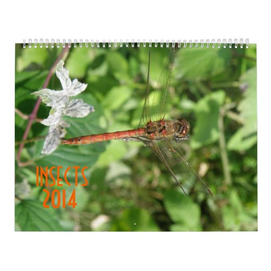 Insecten 2014 Kalender (Hoes)