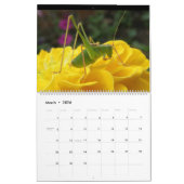 Insecten 2015 Kalender (Mar 2026)