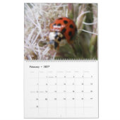 Insecten 2015 Kalender (Feb 2027)