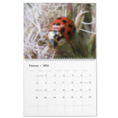 Insecten 2015 Kalender (Feb 2026)