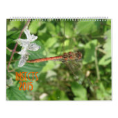 Insecten 2015 Kalender (Hoes)
