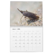 Insecten! Agenda Kalender (Mar 2026)