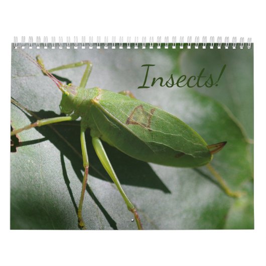 Insecten! Agenda Kalender (Hoes)