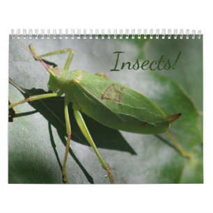 Insecten! Agenda Kalender