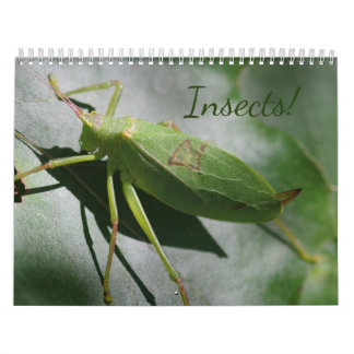 Insecten! Agenda Kalender