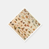 Insecten, amfibieën en schelpen door Jan van Kesse Servet (Hoek)