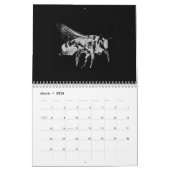 Insecten - Bugs - Huisdieren Insecten Kalender (Mar 2026)