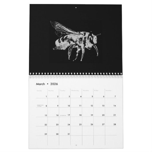 Insecten - Bugs - Huisdieren Insecten Kalender (Mar 2026)