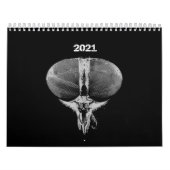 Insecten - Bugs - Huisdieren Insecten Kalender (Hoes)