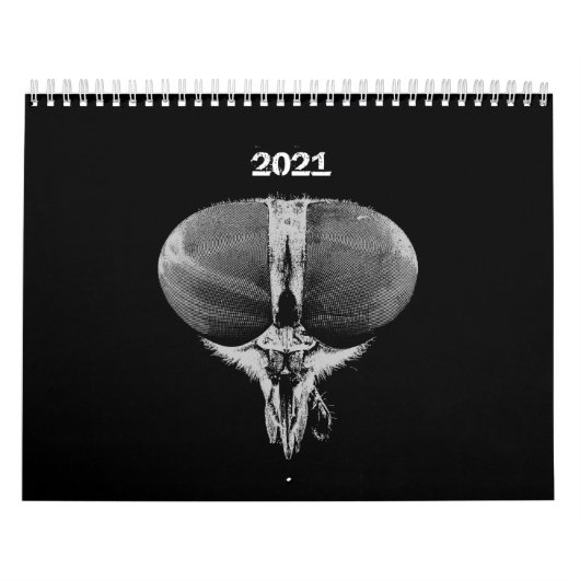 Insecten - Bugs - Huisdieren Insecten Kalender (Hoes)