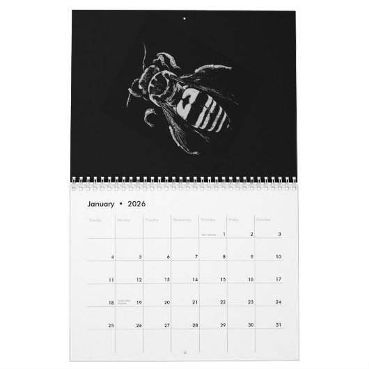 Insecten - Bugs - Huisdieren Insecten Kalender (Jan 2026)