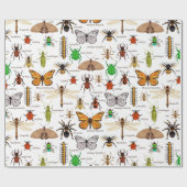Insecten Cadeaupapier (Vlak)