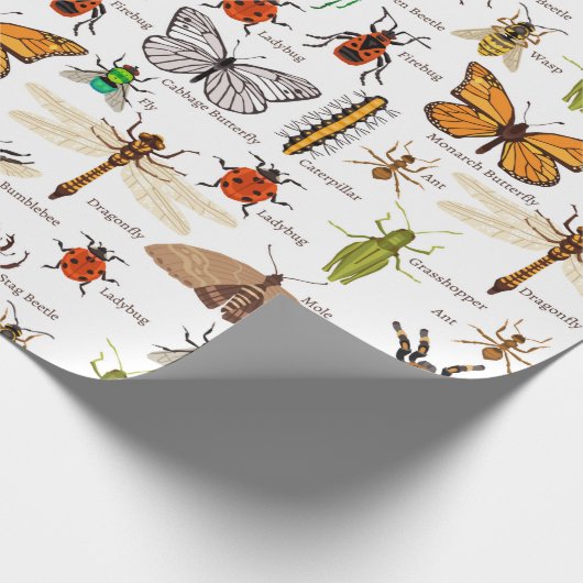 Insecten Cadeaupapier (Hoek)
