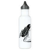  insecten dansen; blauw flesvliegen waterfles  (Links)