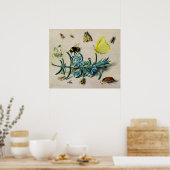 Insecten door Jan van Kessel de Elder Poster (Keuken)