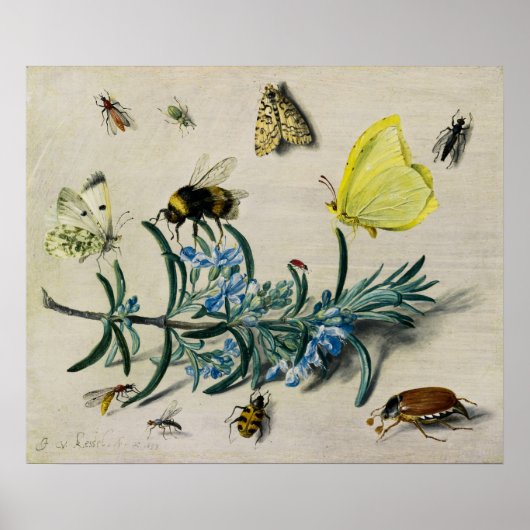 Insecten door Jan van Kessel de Elder Poster (Voorkant)