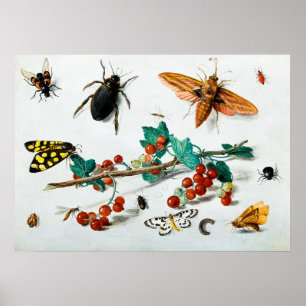 Insecten door Jan van Kessel de Elder Poster