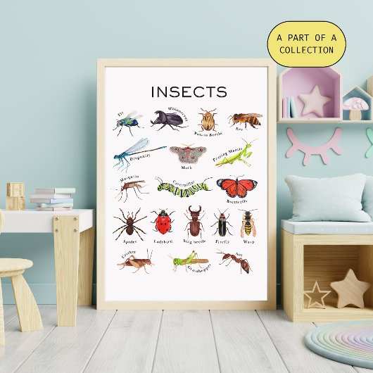 Insecten Educatief Poster