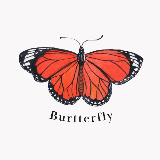 Insecten Educatief Poster