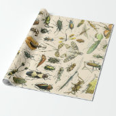 Insecten en bugs cadeaupapier (Uitgerold)