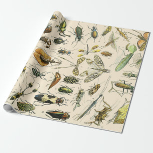 Insecten en bugs cadeaupapier