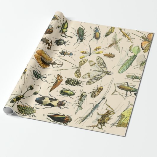 Insecten en bugs cadeaupapier (Uitgerold)