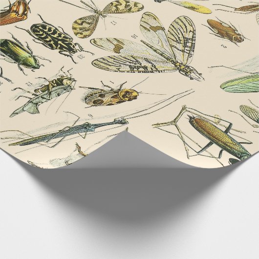 Insecten en bugs cadeaupapier (Hoek)