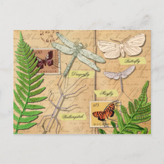 Insecten en de gewone polypotaire fern briefkaart