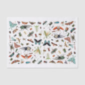 Insecten en vlinders  boekillustratie tissuepapier (Voorkant)